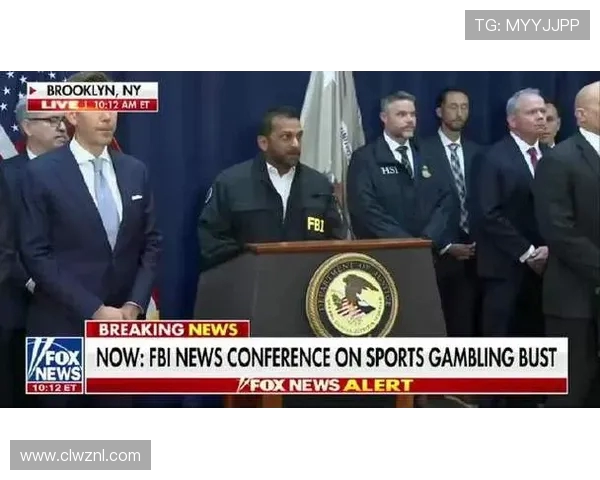 FBI展开大规模抓捕行动 超30人被捕 调查持续进行